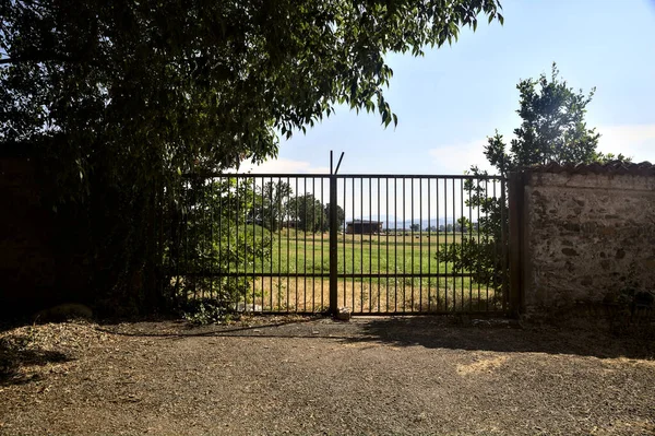 Closed Gate Tree Field Them — Fotografia de Stock