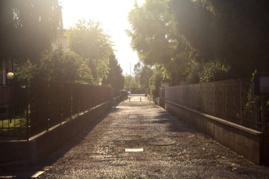 Alley bordered by trees in an italian village at sunset