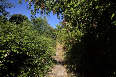 Path partially in the shade in a park on a sunny day in the countryside