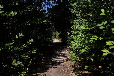 Path partially in the shade in a park on a sunny day in the countryside