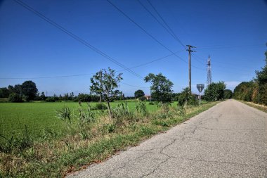 Gravel road bordered by fields with electricity poles at its edge and a country house in the distance on a summer day in the italian countryside