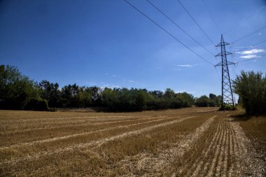 Mowed wheat field with electricity pylons bordered by trees on a sunny day in the countryside