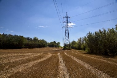 Mowed wheat field with electricity pylons bordered by trees on a sunny day in the countryside