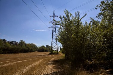 Mowed wheat field with electricity pylons bordered by trees on a sunny day in the countryside