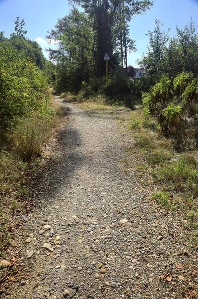 Crossroads between two paths in a park on a sunny day