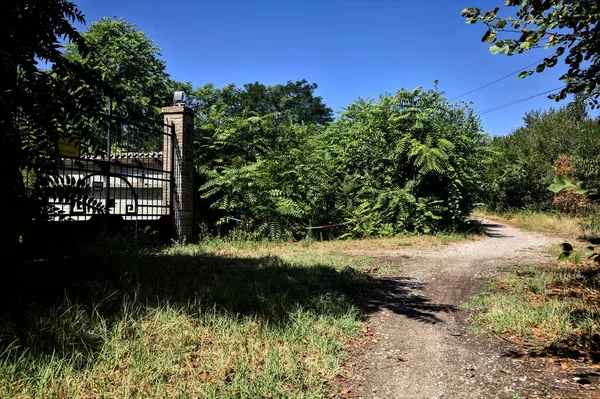 Fork in a path that leads to a a gate on a summer day