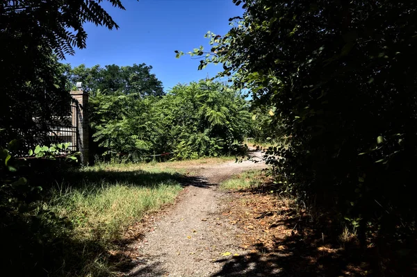 Fork in a path that leads to a a gate on a summer day