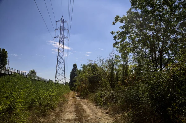 Dirt path with trees next to a highway on a summer day in the italian countryside