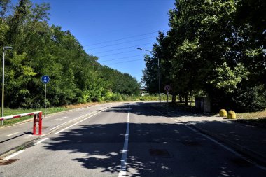 Road boredered by trees in a residential area on a summer day in the italian countryside