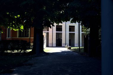 Facade and entrance of a modern building framed by trees and a hedge