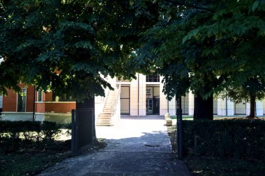 Facade and entrance of a modern building framed by trees and a hedge
