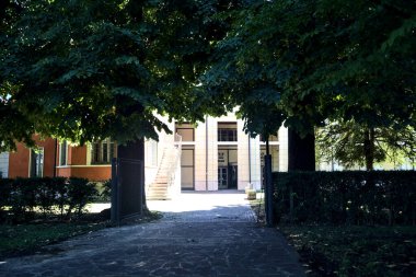 Facade and entrance of a modern building framed by trees and a hedge