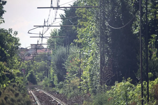 Attraversamento Ferroviario Con Alberi Edifici Tramonto — Foto Stock