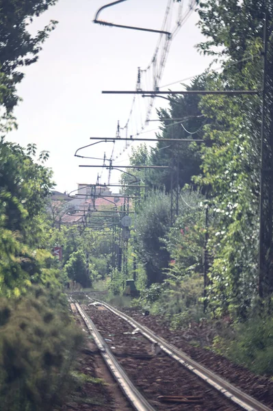 Attraversamento Ferroviario Con Alberi Edifici Tramonto — Foto Stock