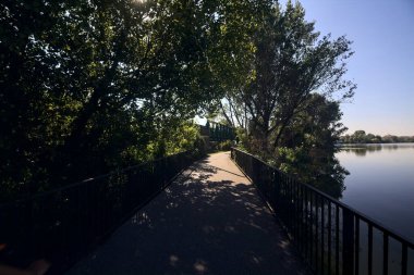 Gün batımında üzerinde bir ağaç olan bir gölün üzerindeki köprü.