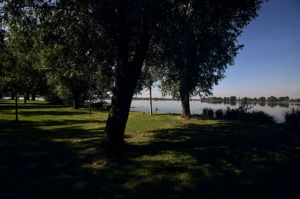 夕阳西下的湖滨 有树木 — 图库照片