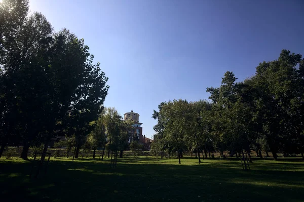 Park Bij Zonsondergang Met Gebouwen Verte Omlijst Door Bomen — Stockfoto