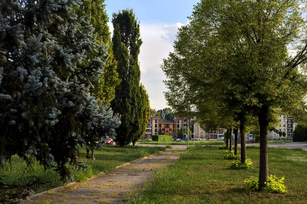 Verharde Weg Een Woonwijk Van Een Italiaanse Stad — Stockfoto