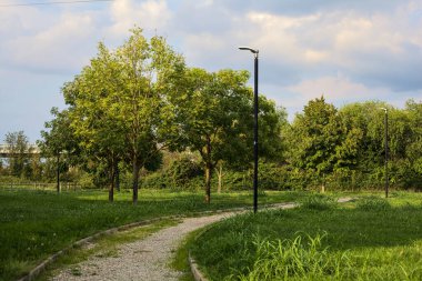 Parkta ağaçlarla çevrili bir patika.