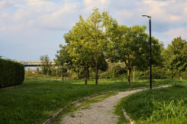 Parkta ağaçlarla çevrili bir patika.