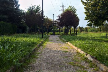 Parkta ağaçlarla çevrili bir patika.