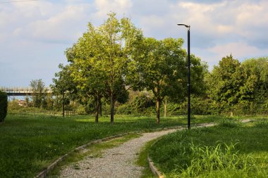 Parkta ağaçlarla çevrili bir patika.