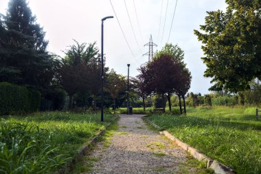 Parkta ağaçlarla çevrili bir patika.