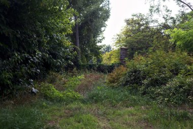 Bulutlu bir günde sarmaşıklarla kaplı kırık bir kapıya giden yol.