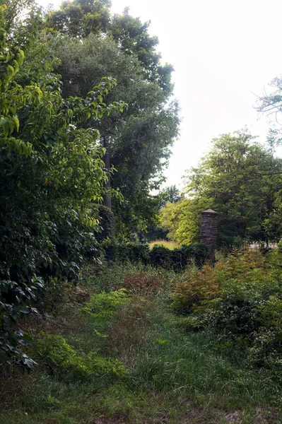 Path Leads Broken Gate Covered Ivy Cloudy Day — Stock Photo, Image