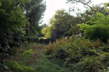 Bulutlu bir günde sarmaşıklarla kaplı kırık bir kapıya giden yol.