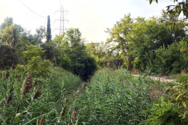 Bulutlu bir günde kırsalda kirli bir patikanın yanında kuru bir nehir yatağı.