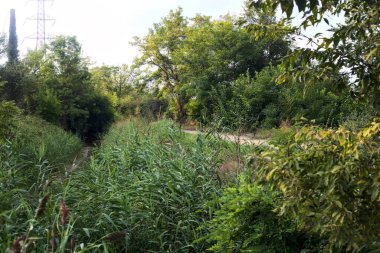 Bulutlu bir günde kırsalda kirli bir patikanın yanında kuru bir nehir yatağı.