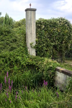 Gün batımında terk edilmiş bir bahçeye sarmaşık ile kaplanmış giriş kapısı.