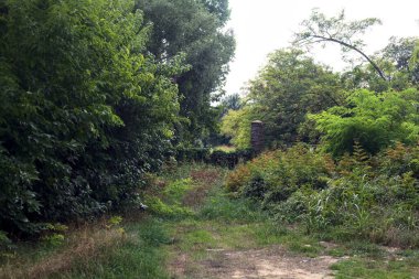 Bulutlu bir günde sarmaşıklarla kaplı kırık bir kapıya giden yol.