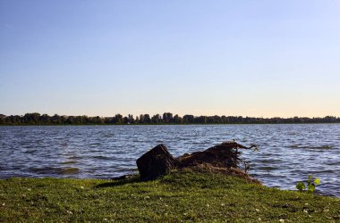 Gün batımında göl kıyısında bir ağaç gövdesi.