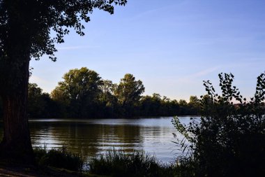 Gün batımında göl kıyıdaki ağaçlarla çevrili.