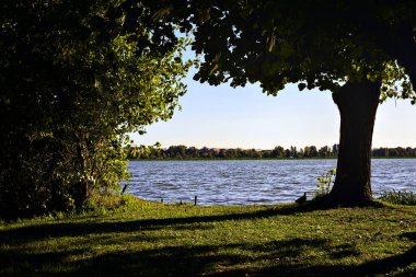 Gün batımında göl kıyıdaki ağaçlarla çevrili.