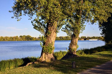 Gün batımında göl kıyıdaki ağaçlarla çevrili.