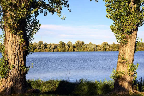 Lac Coucher Soleil Encadré Par Des Arbres Sur Rive — Photo