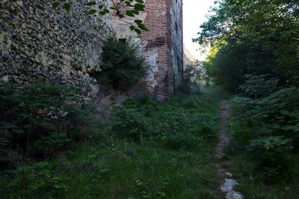 木と茂みの間の日陰の狭い道と要塞の壁 — ストック写真