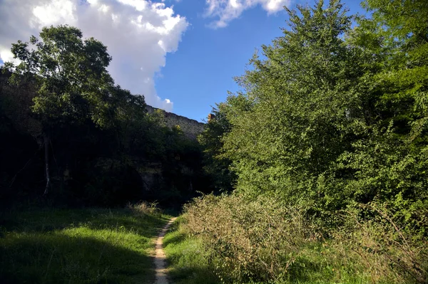 Trail Open Space Fortification Wall Trees Forest Sunny Day — Stock Photo, Image