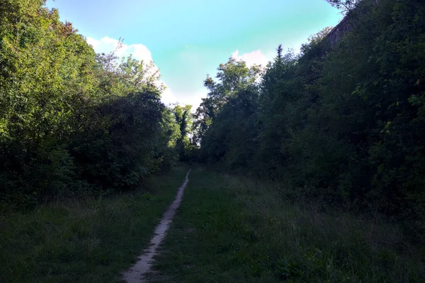 Ormanın Kenarındaki Gölgede Dar Bir Yol Bir Takviye Duvarının Yanında — Stok fotoğraf