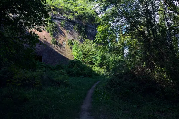晴れた日には古い要塞の壁の横にある森の狭い歩道に曲がる — ストック写真