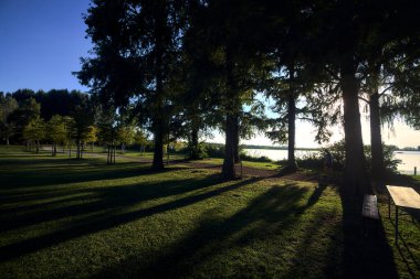 Gün batımında göl kıyısındaki bir parkta toprak yol.