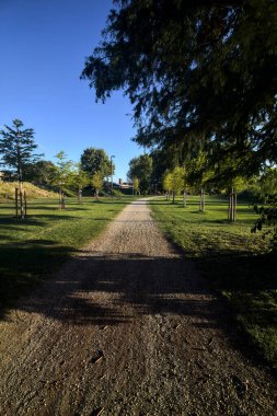 Gün batımında göl kıyısındaki bir parkta toprak yol.