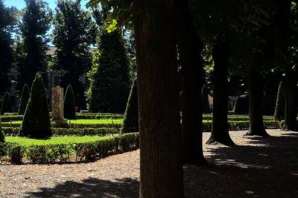 Sentiero Lastricato Con Alberi Suoi Margini Parco — Foto Stock