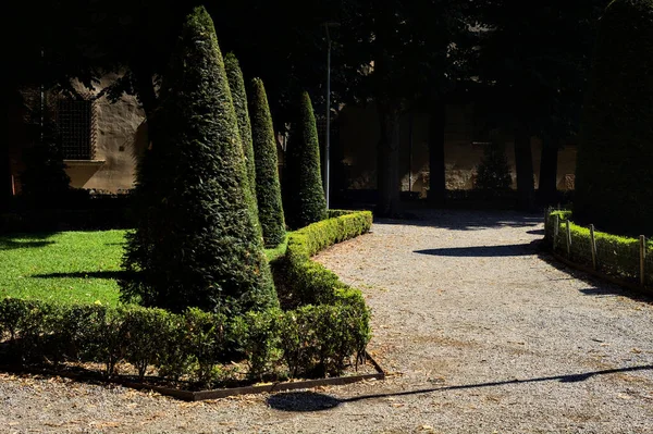 Parkta Ağaçlarla Çevrili Bir Patika — Stok fotoğraf