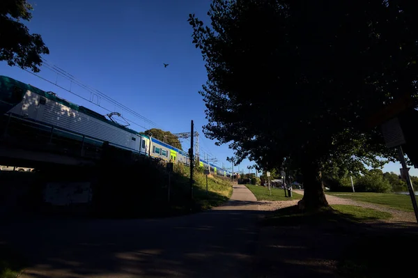 Gün Batımında Göl Kıyısındaki Bir Parkta Toprak Yol — Stok fotoğraf