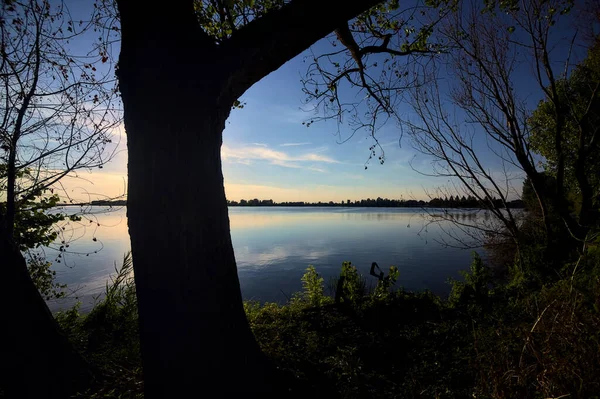 Sjön Vid Solnedgången Inramad Träd Och Sedd Från Stranden — Stockfoto