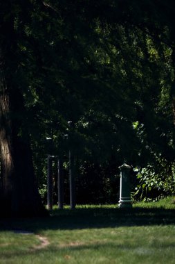 Bir parkta, toprak bir patikanın yanındaki ağacın altındaki çeşme.